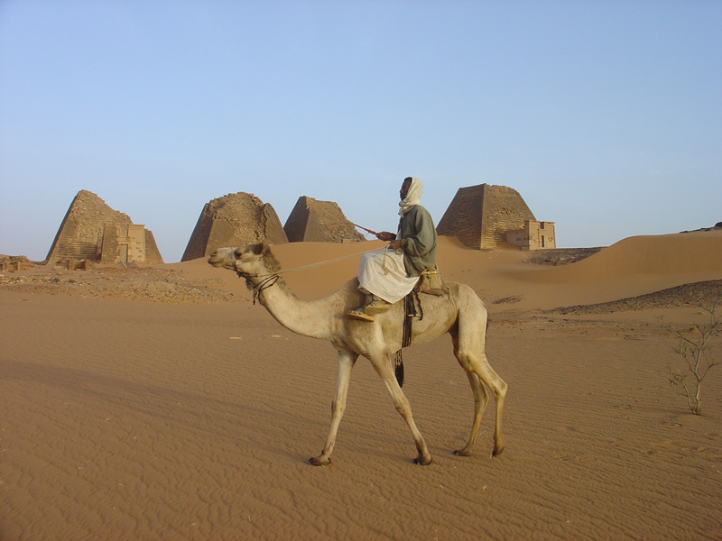 Camels at Bajarawiya
