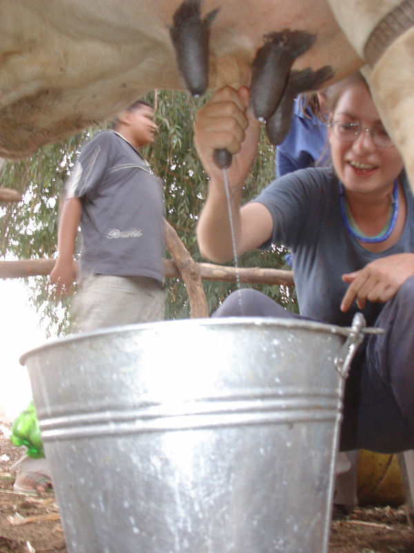 Shambatt Island milking girls
