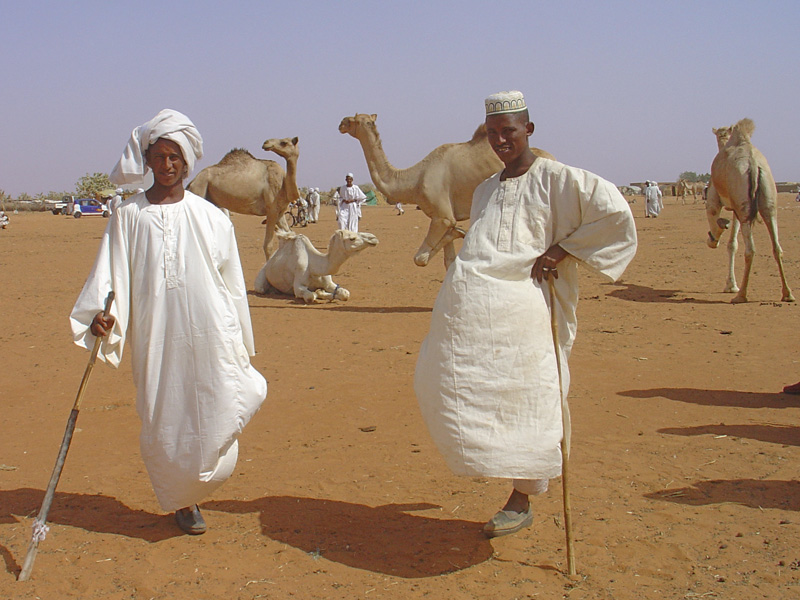 Obied animal market camelmen