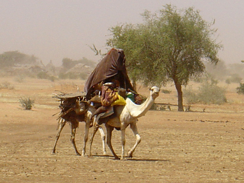 Woman on camel