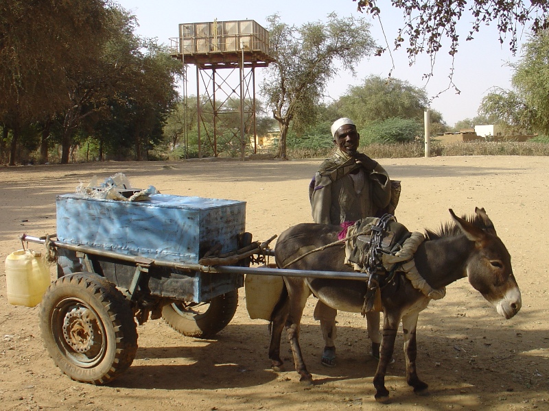 Donkey caro, collecting water