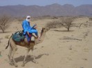 Niger Aier Mts cameltrek