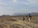 Niger Aier Mts cameltrek