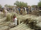 Niger Zinder market