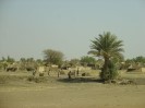 Sudan El Obeid Khartoum road