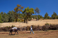 Dodola Trek farmland trail